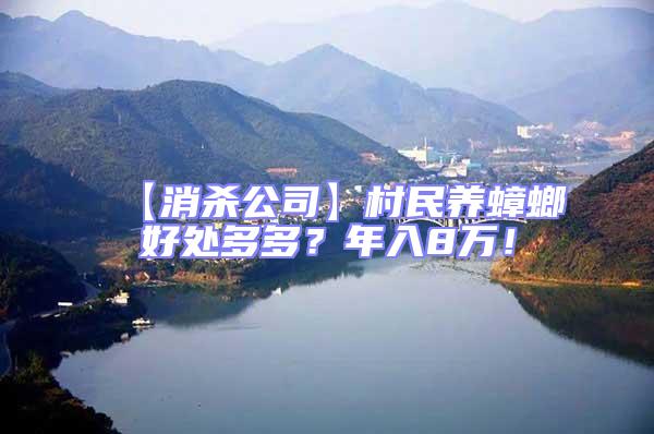 【消殺公司】村民養蟑螂好處多多？年入8萬！
