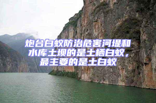 炮臺白蟻防治危害河堤和水庫土壩的是土棲白蟻,最主要的是土白蟻
