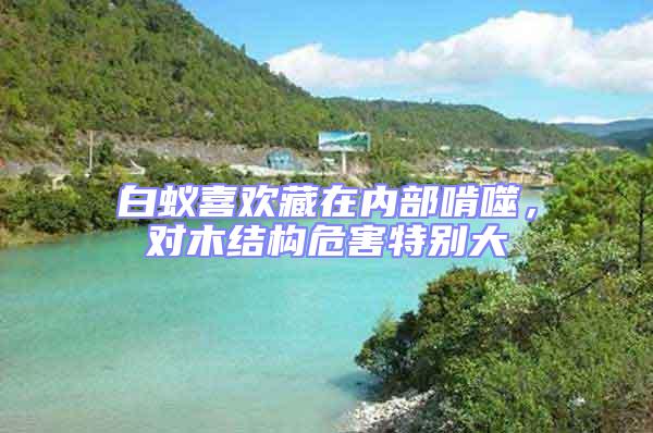 白蟻喜歡藏在內部啃噬,對木結構危害特別大