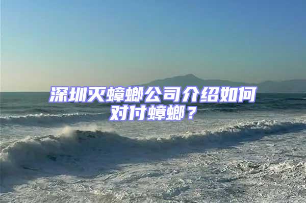 深圳滅蟑螂公司介紹如何對付蟑螂?