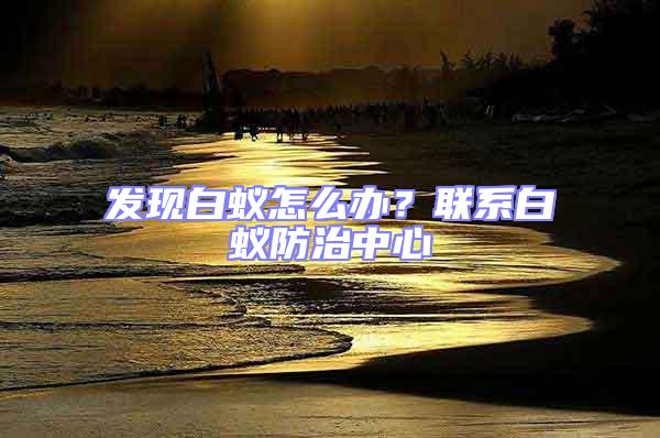 發現白蟻怎么辦?聯系白蟻防治中心