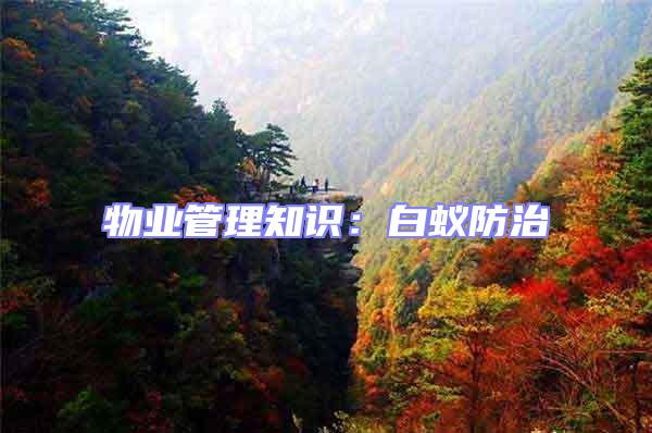 物業(yè)管理知識:白蟻防治
