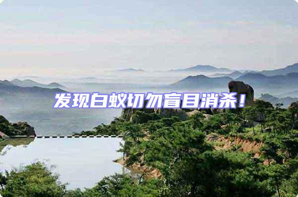 發現白蟻切勿盲目消殺!