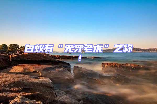白蟻有“無牙老虎”之稱!
