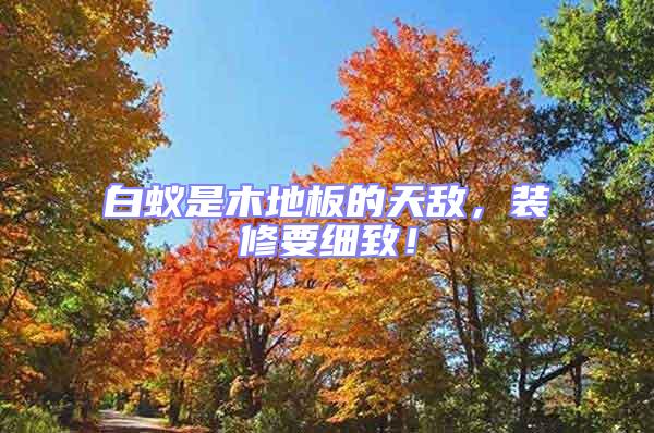 白蟻是木地板的天敵，裝修要細(xì)致！