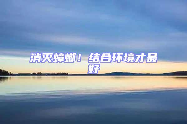 消滅蟑螂!結合環境才最好