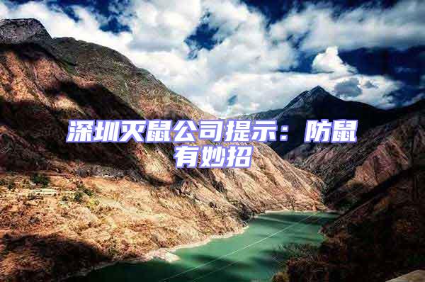 深圳滅鼠公司提示:防鼠有妙招