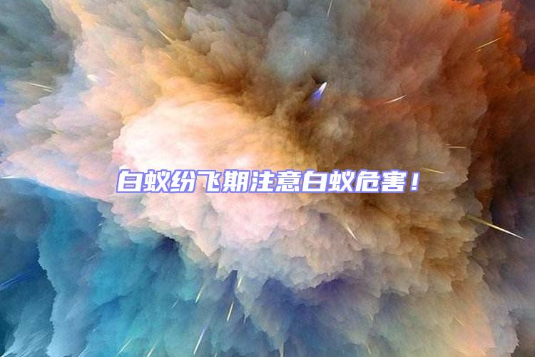 白蟻紛飛期注意白蟻危害!