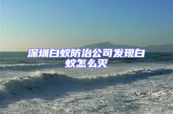 深圳白蟻防治公司發(fā)現(xiàn)白蟻怎么滅