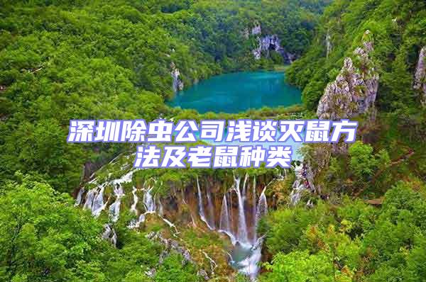 深圳除蟲(chóng)公司淺談滅鼠方法及老鼠種類(lèi)