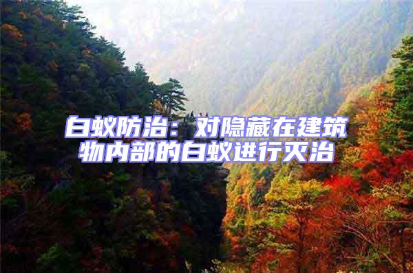 白蟻防治:對隱藏在建筑物內部的白蟻進行滅治