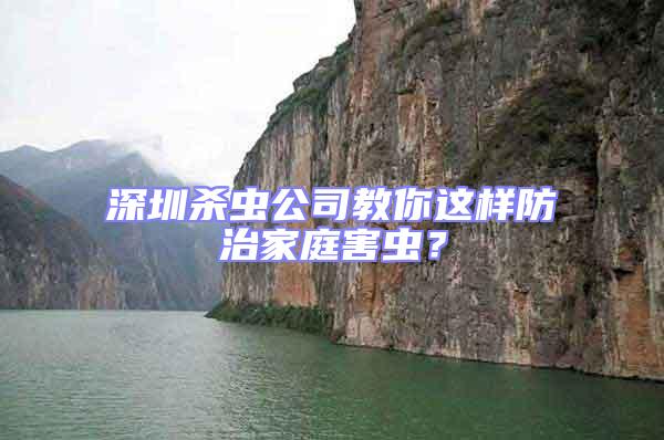 深圳殺蟲公司教你這樣防治家庭害蟲?