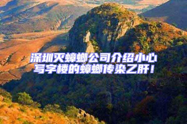 深圳滅蟑螂公司介紹小心寫字樓的蟑螂傳染乙肝!