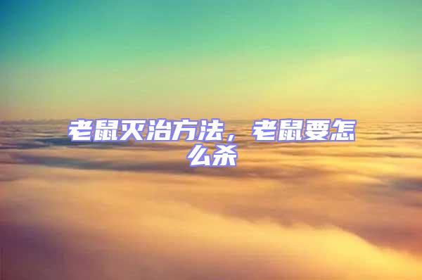 老鼠滅治方法,老鼠要怎么殺