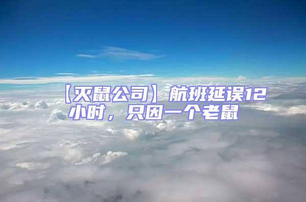 【滅鼠公司】航班延誤12小時,只因一個老鼠