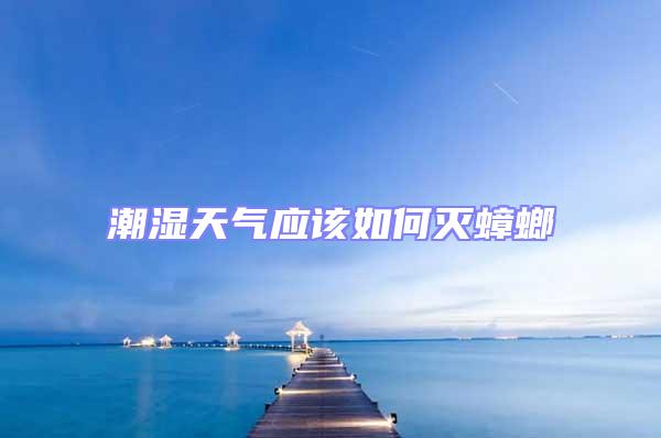 潮濕天氣應(yīng)該如何滅蟑螂
