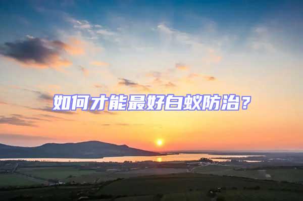 如何才能最好白蟻防治?