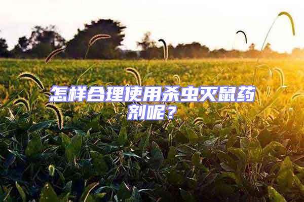 怎樣合理使用殺蟲滅鼠藥劑呢?