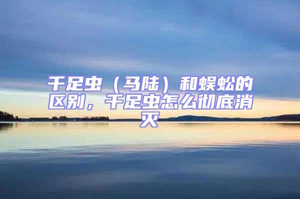 千足蟲（馬陸）和蜈蚣的區(qū)別，千足蟲怎么徹底消滅