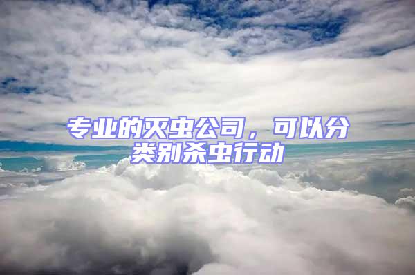 專業(yè)的滅蟲公司,可以分類別殺蟲行動