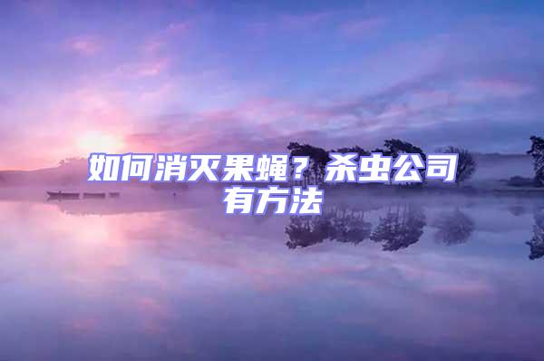如何消滅果蠅?殺蟲公司有方法