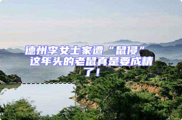 德州李女士家遭“鼠侵” 這年頭的老鼠真是要成精了!