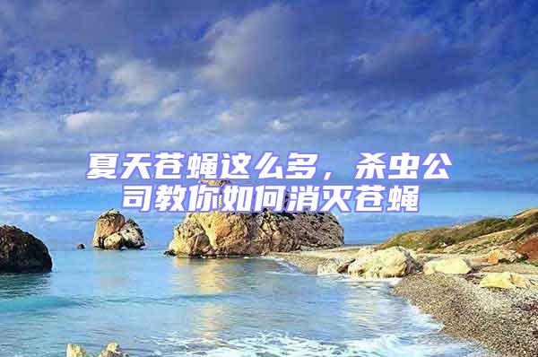 夏天蒼蠅這么多，殺蟲公司教你如何消滅蒼蠅