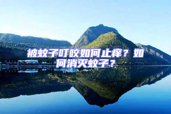 被蚊子叮咬如何止癢?如何消滅蚊子?