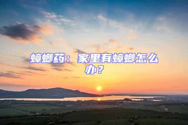 蟑螂藥:家里有蟑螂怎么辦?