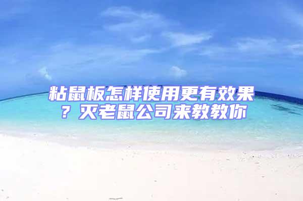 粘鼠板怎樣使用更有效果？滅老鼠公司來教教你