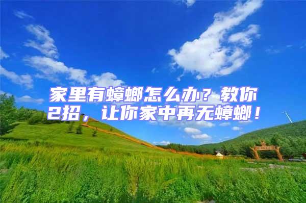 家里有蟑螂怎么辦?教你2招,讓你家中再無蟑螂!