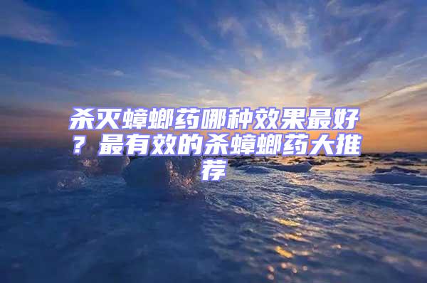 殺滅蟑螂藥哪種效果最好?最有效的殺蟑螂藥大推薦