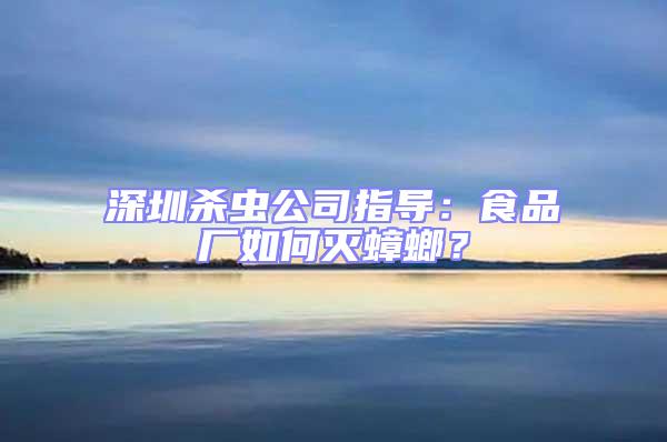深圳殺蟲公司指導:食品廠如何滅蟑螂?
