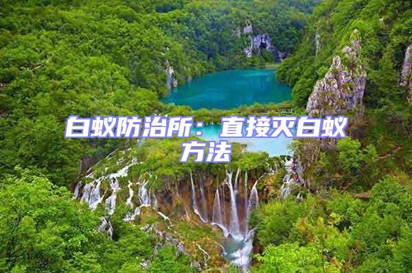 白蟻防治所:直接滅白蟻方法