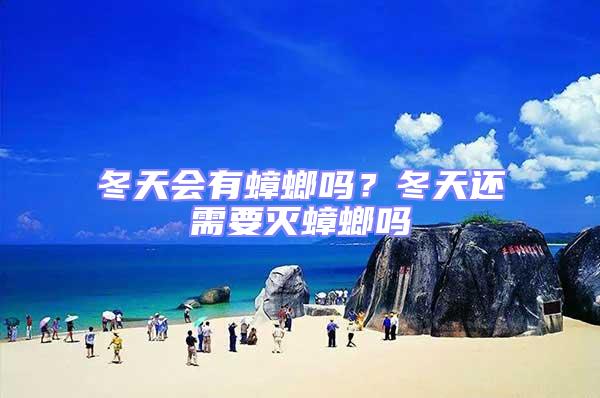 冬天會有蟑螂嗎?冬天還需要滅蟑螂嗎