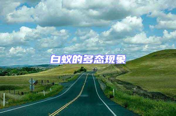 白蟻的多態(tài)現(xiàn)象