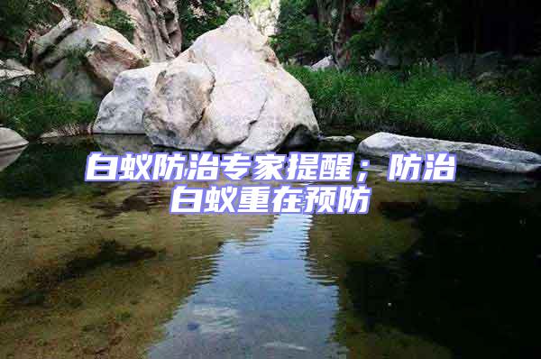 白蟻防治專家提醒;防治白蟻重在預防