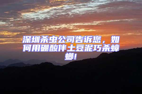 深圳殺蟲公司告訴您,如何用硼酸伴土豆泥巧殺蟑螂!