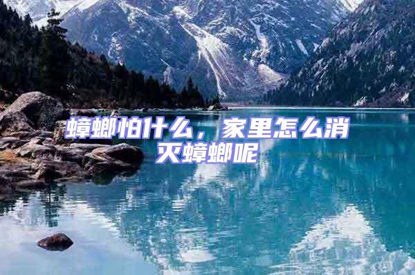 蟑螂怕什么,家里怎么消滅蟑螂呢