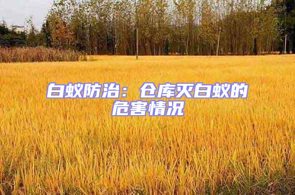 白蟻防治:倉庫滅白蟻的危害情況