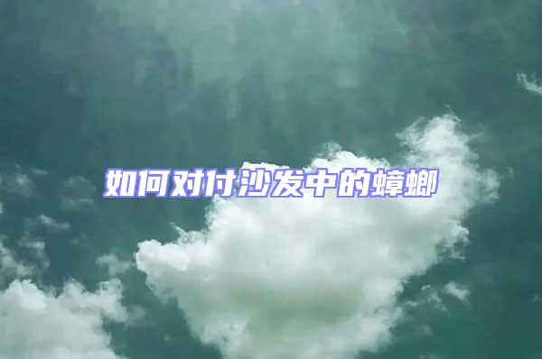 如何對(duì)付沙發(fā)中的蟑螂