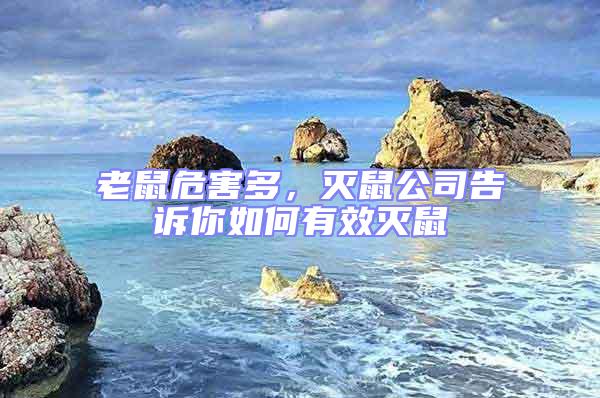 老鼠危害多,滅鼠公司告訴你如何有效滅鼠