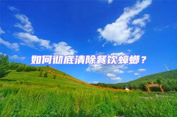 如何徹底清除餐飲蟑螂?