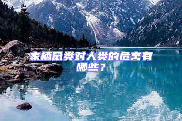 家棲鼠類對人類的危害有哪些?