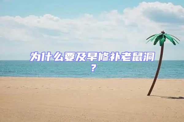 為什么要及早修補老鼠洞?