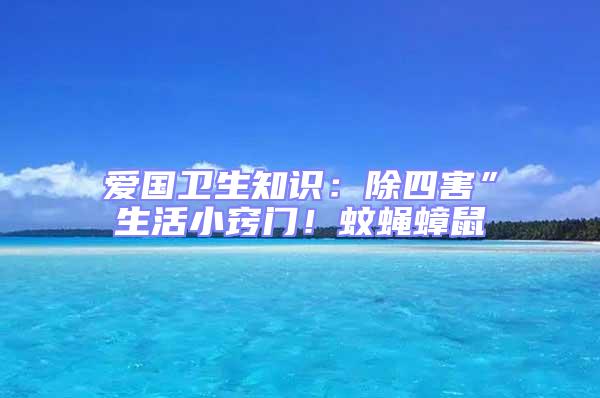 愛國衛(wèi)生知識:除四害”生活小竅門!蚊蠅蟑鼠