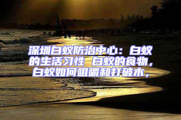 深圳白蟻防治中心：白蟻的生活習性 白蟻的食物，白蟻如何咀嚼和打破木，
