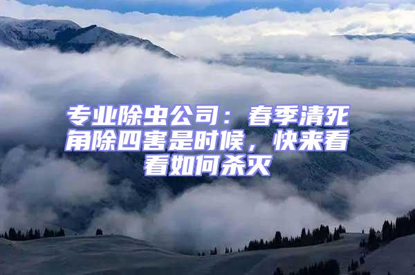 專業除蟲公司：春季清死角除四害是時候，快來看看如何殺滅