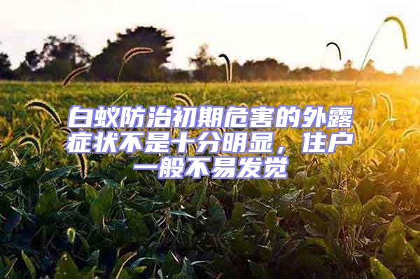 白蟻防治初期危害的外露癥狀不是十分明顯,住戶一般不易發(fā)覺