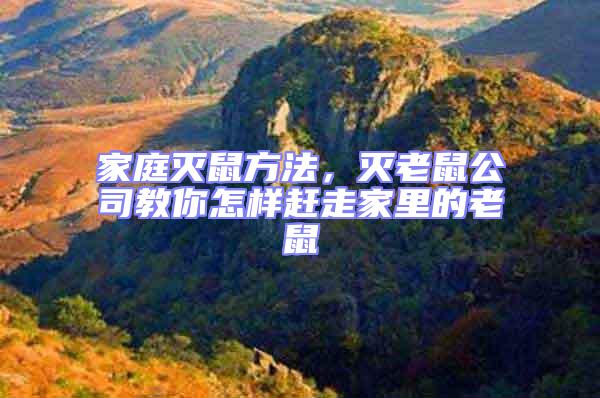 家庭滅鼠方法,滅老鼠公司教你怎樣趕走家里的老鼠